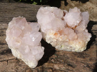 Natural White Flower Cactus Spirit Quartz Clusters  x 2 From Boekenhouthoek, South Africa - Toprock Gemstones and Minerals 