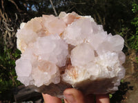 Natural White Flower Cactus Spirit Quartz Clusters  x 2 From Boekenhouthoek, South Africa - Toprock Gemstones and Minerals 