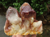 Natural Red Hematite Phantom Quartz Clusters  x 4 From Karoi, Zimbabwe - TopRock