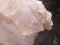 Natural White Flower Cactus Spirit Quartz Clusters  x 2 From Boekenhouthoek, South Africa - Toprock Gemstones and Minerals 