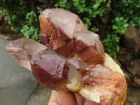 Natural Red Hematite Phantom Quartz Clusters  x 4 From Karoi, Zimbabwe - TopRock