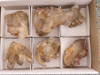 Natural Gorgeous Classic Hematoid Quartz Specimens  x 6 From Karoi, Zimbabwe - TopRock