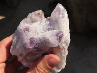 Natural Sugar Amethyst Clusters  x 4 From Solwezi, Zambia