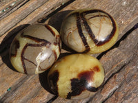 Polished Septerye (Calcite & Aragonite) Palm Stones  x 12 From Mahajanga, Madagascar - Toprock Gemstones and Minerals 