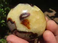 Polished Septerye (Calcite & Aragonite) Palm Stones  x 12 From Mahajanga, Madagascar - Toprock Gemstones and Minerals 