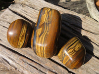 Polished Golden Tigers Eye Free Forms x 3 From Prieska, Northern Cape