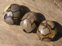 Polished Septerye (Calcite & Aragonite) Palm Stones  x 12 From Mahajanga, Madagascar - Toprock Gemstones and Minerals 