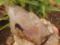 Natural Gorgeous Classic Hematoid Quartz Specimens  x 6 From Karoi, Zimbabwe - TopRock