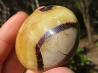 Polished Septerye (Calcite & Aragonite) Palm Stones  x 12 From Mahajanga, Madagascar - Toprock Gemstones and Minerals 