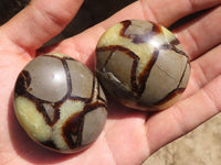 Polished Septerye (Calcite & Aragonite) Palm Stones  x 12 From Mahajanga, Madagascar - Toprock Gemstones and Minerals 