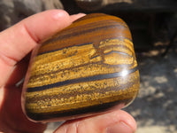 Polished Golden Tigers Eye Free Forms x 3 From Prieska, Northern Cape