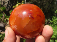 Polished Vibrant Carnelian Agate Spheres  x 6 From Madagascar - Toprock Gemstones and Minerals 