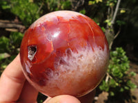 Polished Vibrant Carnelian Agate Spheres  x 6 From Madagascar - Toprock Gemstones and Minerals 