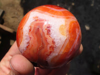 Polished Vibrant Carnelian Agate Spheres  x 6 From Madagascar - Toprock Gemstones and Minerals 