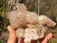 Natural Cascading Smokey Quartz Clusters x 2 From Luena, Congo