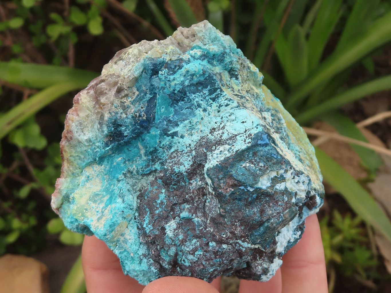 Intense Blue Namibian cheapest Shattuckite Cabochon, Designer Stone, Contains Cuprite, 25.9 x 36,8 x 4.4 mm.