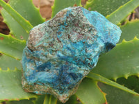 Natural Rough Blue Shattuckite Specimens  x 13 From Kaokoveld, Namibia - TopRock