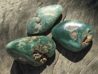 Polished Green Mtorolite Free Form Palm Stones  x 20 From Zimbabwe - TopRock