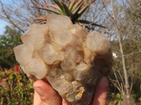 Natural Cascading Smokey Quartz Clusters x 2 From Luena, Congo