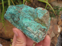 Natural Rough Blue Shattuckite Specimens  x 13 From Kaokoveld, Namibia - TopRock