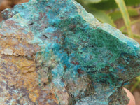 Natural Rough Blue Shattuckite Specimens  x 13 From Kaokoveld, Namibia - TopRock