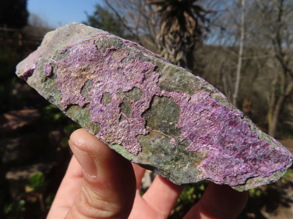 Natural Rough Stichtite & Serpentine Specimens x 13 From Barberton, South Africa