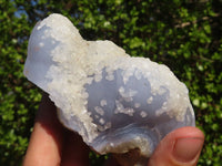 Natural Blue Lace Agate Geode Specimens  x 6 From Nsanje, Malawi - Toprock Gemstones and Minerals 