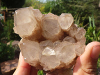 Natural Cascading White Phantom Smokey Quartz Clusters  x 3 From Luena, Congo - Toprock Gemstones and Minerals 