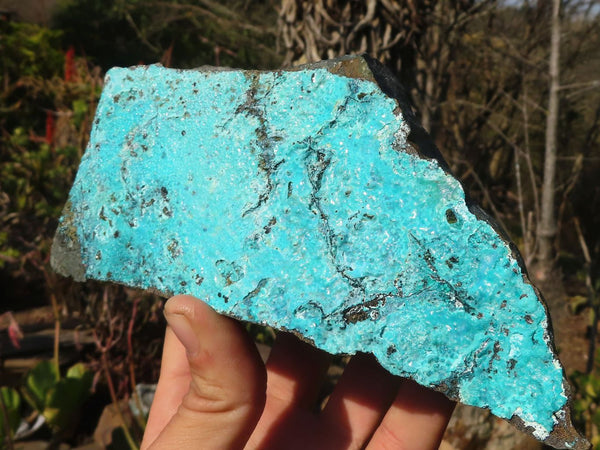 Natural Silica Chrysocolla On Dolomite Matrix Specimens x 2 From Congo