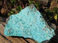 Natural Silica Chrysocolla On Dolomite Matrix Specimens x 2 From Congo