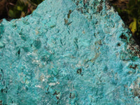 Natural Silica Chrysocolla On Dolomite Matrix Specimens x 2 From Congo