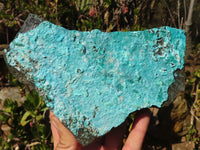 Natural Silica Chrysocolla On Dolomite Matrix Specimens x 2 From Congo