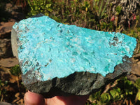 Natural Silica Chrysocolla On Dolomite Matrix Specimens x 2 From Congo