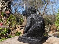 Polished  Black Soapstone Baboon Carving x 1 From Zimbabwe