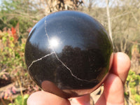 Polished Black Basalt Spheres x 2 From Madagascar