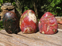 Polished Red Jasper Standing Free Forms  x 3 From Madagascar - Toprock Gemstones and Minerals 