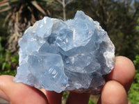 Natural Blue Celestite Crystal Specimens  x 5 From Sakoany, Madagascar - Toprock Gemstones and Minerals 