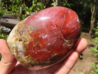 Polished Red Jasper Standing Free Forms  x 3 From Madagascar - Toprock Gemstones and Minerals 