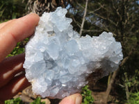 Natural Blue Celestite Crystal Specimens  x 5 From Sakoany, Madagascar - Toprock Gemstones and Minerals 