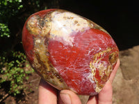 Polished Red Jasper Standing Free Forms  x 3 From Madagascar - Toprock Gemstones and Minerals 