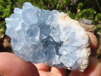 Natural Blue Celestite Crystal Specimens  x 5 From Sakoany, Madagascar - Toprock Gemstones and Minerals 