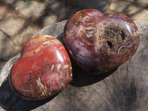 Polished Large Petrified Red Podocarpus Wood Hearts  x 2 From Mahajanga, Madagascar - TopRock