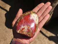 Polished Red Jasper Standing Free Forms  x 3 From Madagascar - Toprock Gemstones and Minerals 