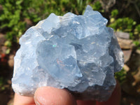 Natural Blue Celestite Crystal Specimens  x 5 From Sakoany, Madagascar - Toprock Gemstones and Minerals 