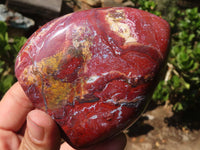 Polished Red Jasper Standing Free Forms  x 3 From Madagascar - Toprock Gemstones and Minerals 