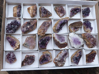 Natural Small Dark Amethyst Crystal Plate Specimens  x 24 From Zululand, South Africa - TopRock