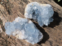 Natural Blue Celestite Crystal Specimens  x 5 From Sakoany, Madagascar - Toprock Gemstones and Minerals 