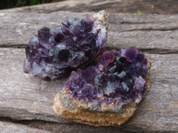 Natural Small Dark Amethyst Crystal Plate Specimens  x 24 From Zululand, South Africa - TopRock