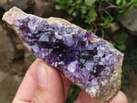 Natural Small Dark Amethyst Crystal Plate Specimens  x 24 From Zululand, South Africa - TopRock