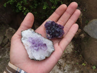 Natural Small Dark Amethyst Crystal Plate Specimens  x 24 From Zululand, South Africa - TopRock